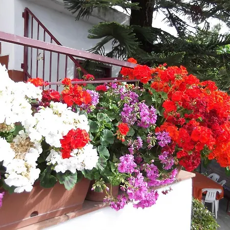 Casavacanzeinsicilia Etna Taormina Vakantiehuis *